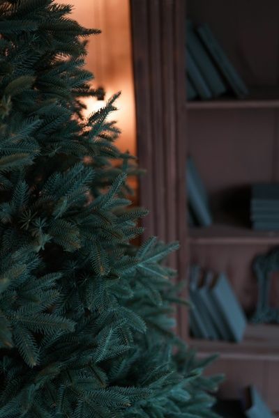 Brad artificial Christmas TSD Elite Premium 1,8m Vere TSD51596 foto