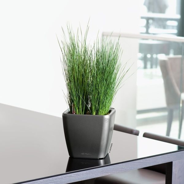 Ghiveci inteligent Lechuza Quadro Premium LS 21 pătrat 4 l 23 x 20 cm, Culoare Alb 16120 foto