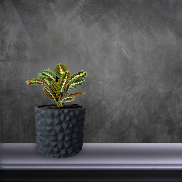 Ghiveci de flori 3d, Obsidian , rotund 13 x 12 cm, Culoare Antracit 3dv0796 foto