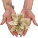 Set 10 ornamente pentru bradul de Craciun, stea Poinsettia, 13cm, auriu crem 10xCA-0730 foto 1
