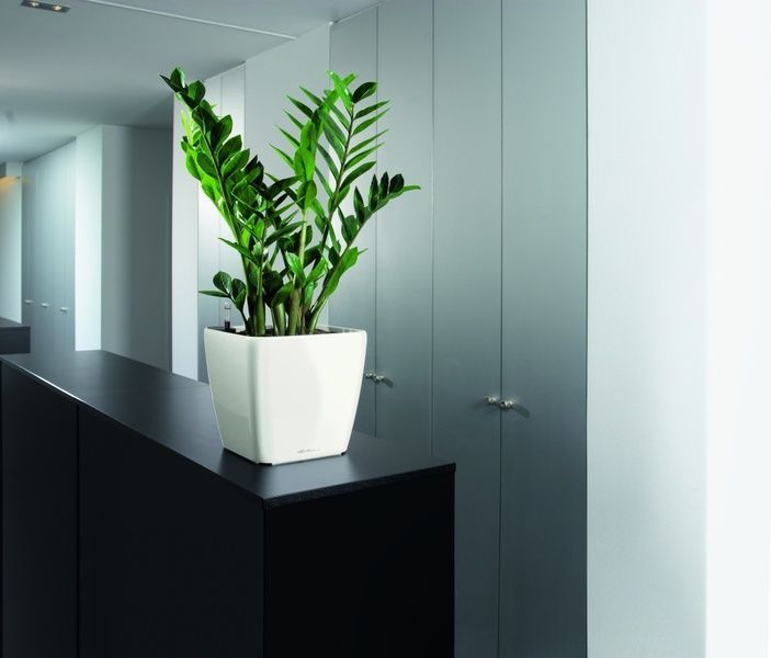 Ghiveci inteligent Lechuza Quadro Premium LS 28 pătrat 9 l 28 x 26 cm, culoare antracit 16143 foto