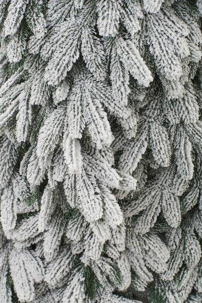 Brad artificial Christmas TSD American Small Snow 2,1m TSD52013 foto