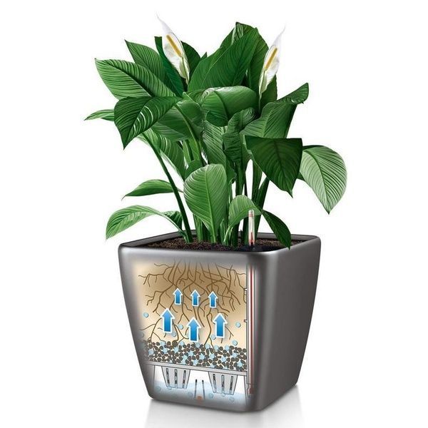 Ghiveci inteligent Lechuza Quadro Premium LS 28 pătrat 9 l 28 x 26 cm, Culoare Alb 16140 foto