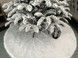 Brad artificial Christmas TSB Grand Victoria nins, 2D, 180cm U-Victoria-Snow-180 foto 11