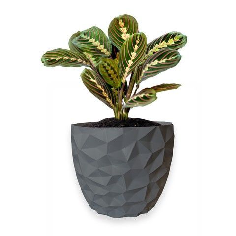 Ghiveci de flori 3d, Dunora , rotund 18 x 16.5 cm, Culoare Gri 3dv0660 foto
