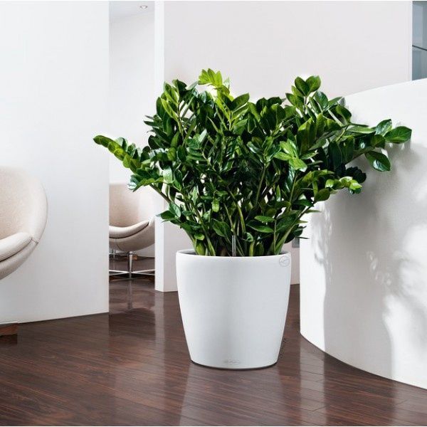 Ghiveci inteligent Lechuza Classico Color 35 rotund 17 l 35 x 33 cm, Culoare Alb 13210 foto