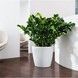Ghiveci inteligent Lechuza Classico Color 35 rotund 17 l 35 x 33 cm, Culoare Alb 13210 foto 4