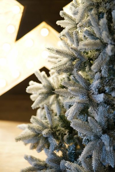 Brad artificial Christmas TSD Premium Montblanc Snow 2,4m TSD51277 foto