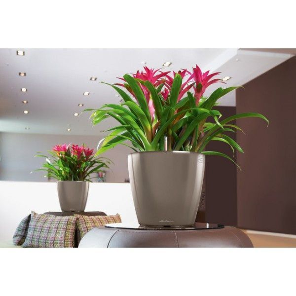Ghiveci inteligent Lechuza Classico Premium LS 35 rotund 13 l 36 x 33 cm, Culoare Negru 16069 foto