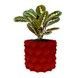 Ghiveci de flori 3d, Razorix , rotund 15.5 x 14.5 cm, Culoare Rosu 3dv0861 foto 1