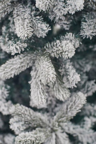 Brad artificial Christmas TSD Premium Montblanc Snow 2,7m TSD51278 foto