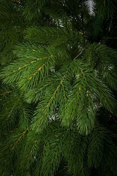 Brad artificial premium Carpatina, ace 3D, PE, 230 cm, cu suport metalic, Verde TSV1303 foto