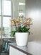 Ghiveci inteligent Lechuza Classico Premium LS 35 rotund 13 l 36 x 33 cm, Culoare Taupe 16065 foto 8