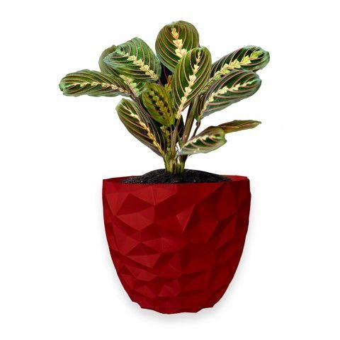 Ghiveci de flori 3d, Dunora , rotund 13 x 12 cm, Culoare Rosu 3dv0663 foto