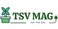 TOP BRAZI de CRACIUN-Magazinul nostru online oferă o gamă largă de produse pentru sărbătorile de iarnă.