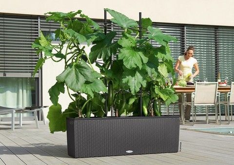 Ghiveci inteligent Lechuza Balconera 40 TRIO Cabană dreptunghiulară 31 x 3 l 42 x 130 x 44 cm, Culoare Gri deschis 15027 foto