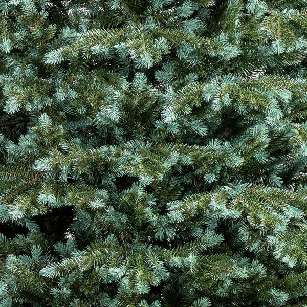Brad artificial Christmas TSS Grand Alaska verde argintiu, integral 3D, 210cm SYG-Alaska-BlueGreen-210 foto