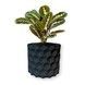 Ghiveci de flori 3d, Geonix , rotund 12 x 11 cm, Culoare Antracit 3dv0697 foto 1