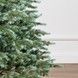 Brad artificial Christmas TSS Grand Alaska verde argintiu, integral 3D, 210cm SYG-Alaska-BlueGreen-210 foto 6
