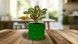 Ghiveci de flori 3d, Razorix , rotund 12 x 11 cm, Culoare Verde 3dv0865 foto 4