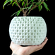 Ghiveci de flori 3d Sferra rotund 13.5 x 11.5 cm, Culoare Alb 3dv0378 foto 4
