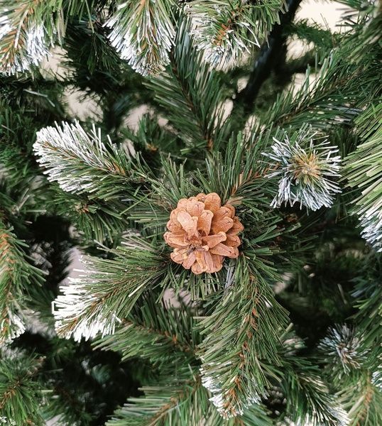 Brad artificial Christmas TSB Grand Lidia Nins cu conuri, 2D, 220cm U-Lidia-WTCones-220 foto