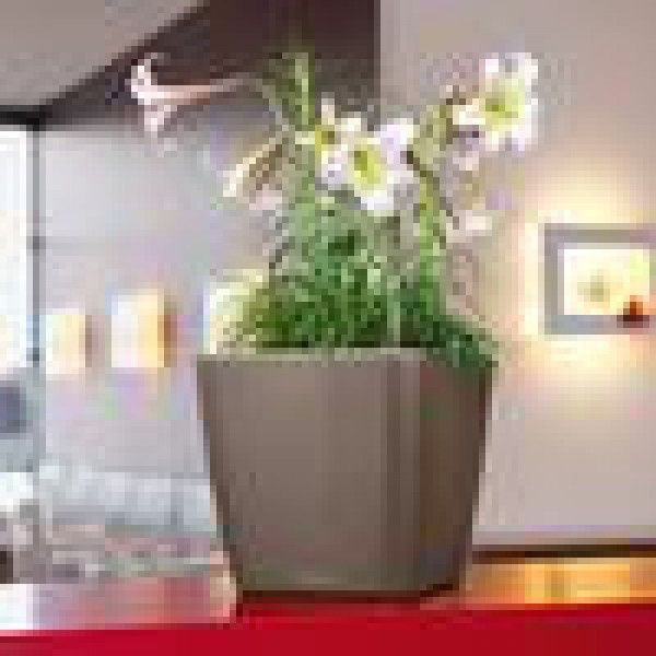 Ghiveci inteligent Lechuza Quadro Premium LS 35 pătrat 17 l 36 x 33 cm, Culoare Taupe 16165 foto