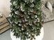 Brad artificial Christmas TSB Grand Lidia Nins cu conuri, 2D, 220cm U-Lidia-WTCones-220 foto 7