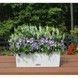 Ghiveci inteligent Lechuza Balconera Cottage 50 dreptunghiular 8 l 19 x 50 x 19 cm, Culoare Granit 15602 foto 8