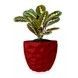Ghiveci de flori 3d, Dunora , rotund 16.5 x 15.5 cm, Culoare Rosu 3dv0666 foto 1