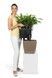 Ghiveci inteligent Lechuza Quadro Premium LS 35 pătrat 17 l 36 x 33 cm, Culoare Roșu 16167 foto 4