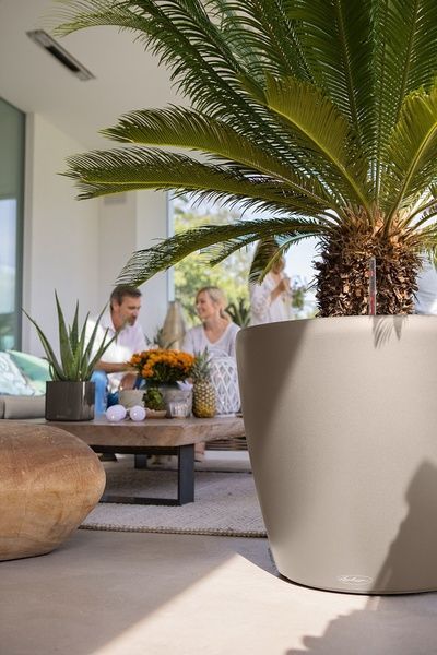 Ghiveci inteligent Lechuza Classico Color 43 rotund 33 l 42 x 40 cm, Culoare Alb 13230 foto