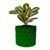 Ghiveci de flori 3d, Trigrix , rotund 16.5 x 15.5 cm, Culoare Verde 3dv0918 foto