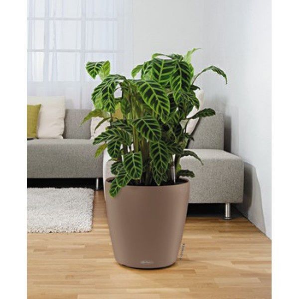 Ghiveci inteligent Lechuza Classico Color 43 rotund 33 l 42 x 40 cm, Culoare Alb 13230 foto
