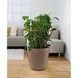 Ghiveci inteligent Lechuza Classico Color 43 rotund 33 l 42 x 40 cm, Culoare Alb 13230 foto 10