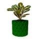 Ghiveci de flori 3d, Trigrix , rotund 16.5 x 15.5 cm, Culoare Verde 3dv0918 foto 1