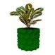 Ghiveci de flori 3d, Razorix , rotund 18 x 16.5 cm, Culoare Verde 3dv0870 foto 1