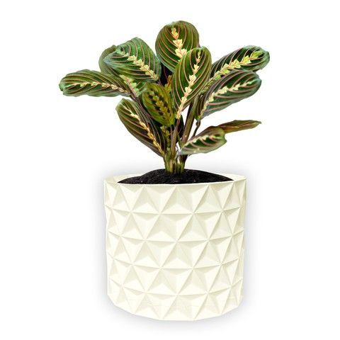 Ghiveci de flori 3d, Trigrix , rotund 12 x 11 cm, Culoare Аlb 3dv0921 foto