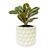 Ghiveci de flori 3d, Geonix , rotund 11 x 10 cm, Culoare Аlb 3dv0724 foto