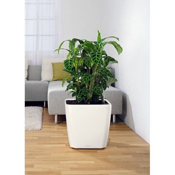 Ghiveci inteligent Lechuza Quadro Premium LS 43 pătrat 32 l 43 x 39 cm, Culoare Negru 16189 foto