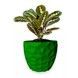 Ghiveci de flori 3d, Dunora , rotund 18 x 16.5 cm, Culoare Verde 3dv0674 foto 1
