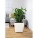 Ghiveci inteligent Lechuza Quadro Premium LS 43 pătrat 32 l 43 x 39 cm, Culoare Negru 16189 foto 4
