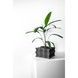Ghiveci de flori 3d Bloomex patrat 13 x 9 cm, Culoare Antracit 3dv0461 foto 5