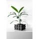 Ghiveci de flori 3d Bloomex patrat 13 x 9 cm, Culoare Antracit 3dv0461 foto 6