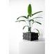 Ghiveci de flori 3d Bloomex patrat 13 x 9 cm, Culoare Antracit 3dv0461 foto 4