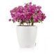 Ghiveci inteligent Lechuza Classico Color 28 rotund 9 l 28 x 26 cm, Culoare Gri 13204 foto 4