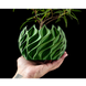 Ghiveci de flori 3d Flame Premium rotund 12 x 9 cm, Culoare Verde 3dv0156 foto 2