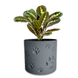 Ghiveci de flori 3d, Trace Animal , rotund 11 x 10 cm, Culoare Gri 3dv0948 foto 1