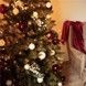 Brad artificial Christmas TSV TOP Grand Caucazian Premium, 2D, 220cm CT-0187 foto 39