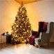 Brad artificial Christmas TSV TOP Grand Caucazian Premium, 2D, 220cm CT-0187 foto 32